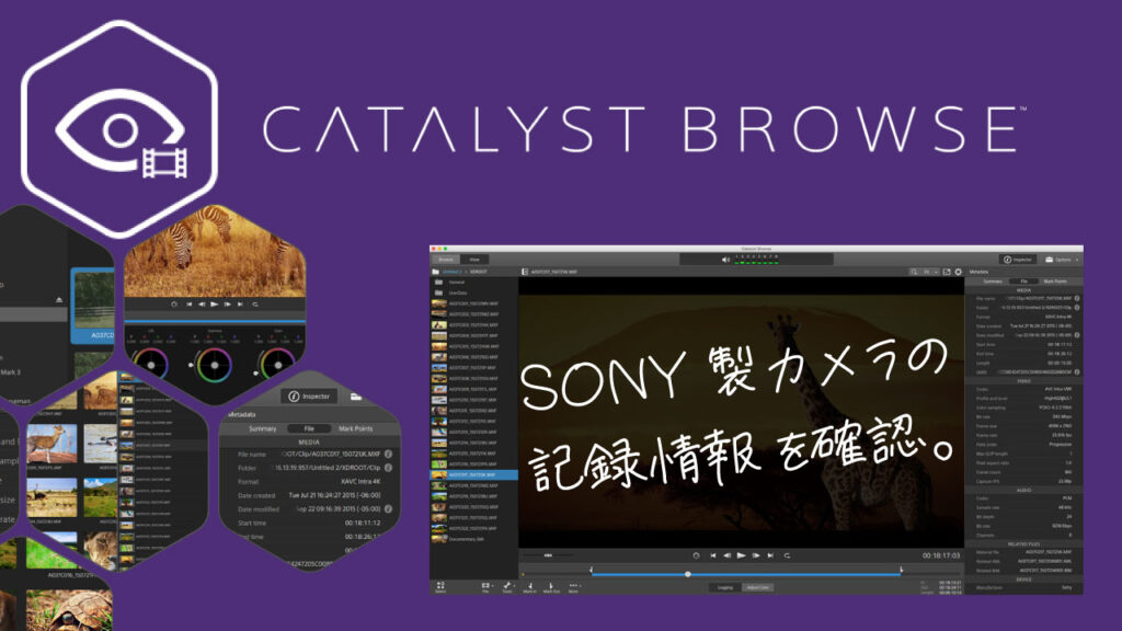 Catalyst Browseの機能と使い方【LUT作成も可能！】